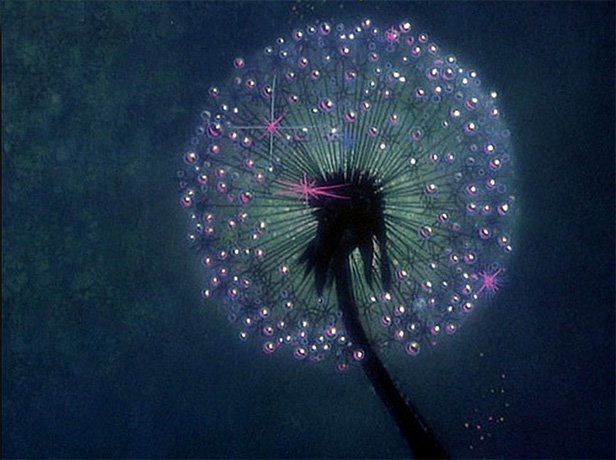 Fantasia film still, dandelion